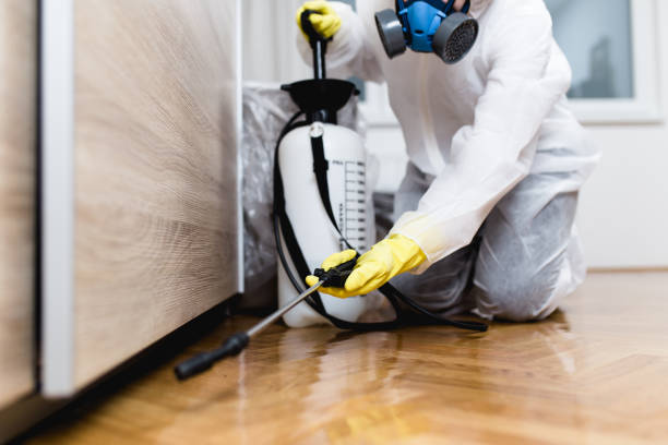 Best Mosquito Control Services  in Port Washington, WI