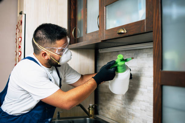 Best Wasp Removal Services  in Port Washington, WI