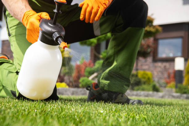 Best Best Pest Control Companies  in Port Washington, WI