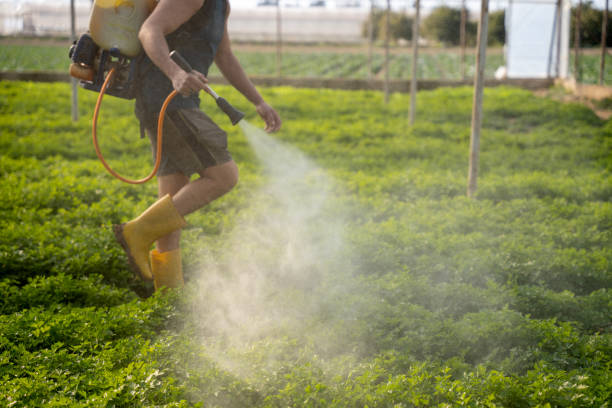 Best Best Pest Control Companies  in Port Washington, WI