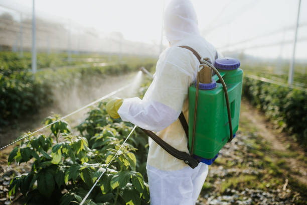 Professional Pest Control in Port Washington, WI